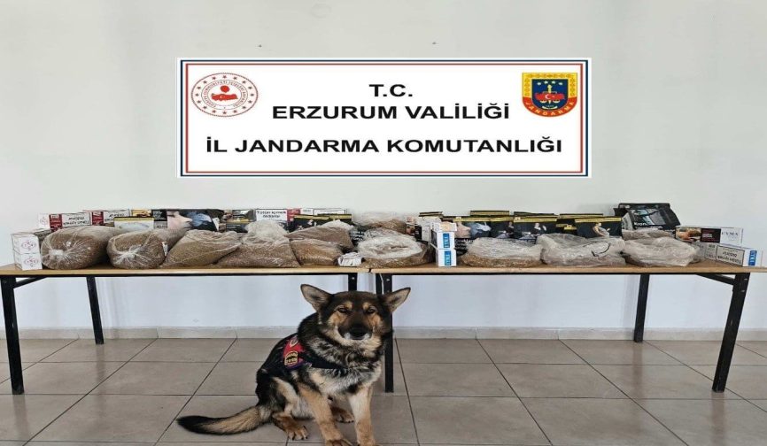 Erzurum'da Kaçakçılık Operasyonları: 12 Şüpheliye Adli İşlem