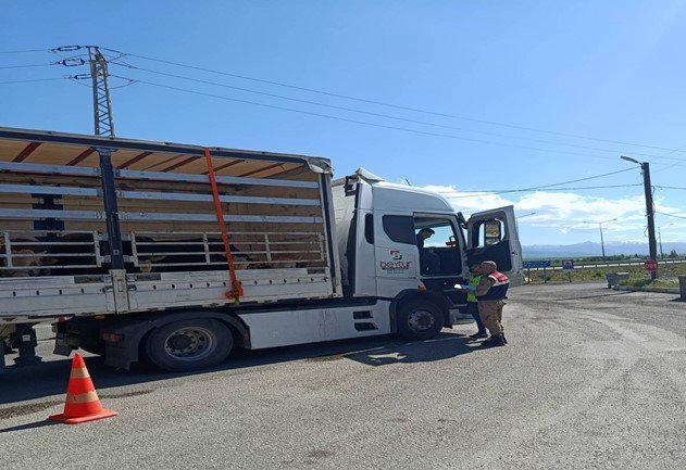 Afgan'ı Suriyelisi... 24 göçmen yakalandı
